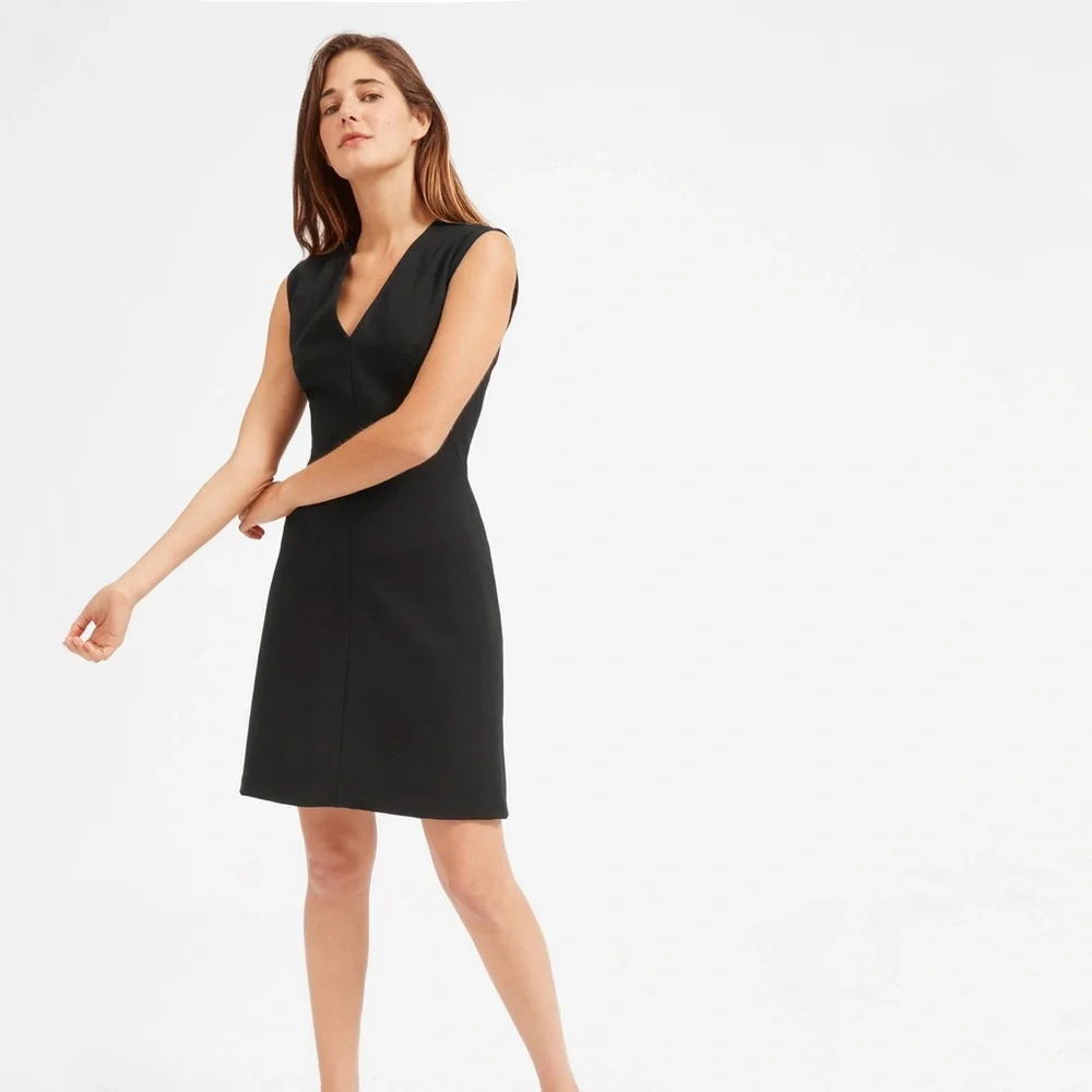 Everlane The Sleeveless V-Neck Flare Dress - Picture 2 of 6